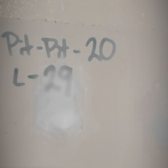 Mystree Size Large White Paisley Button Down Longsleeve with Shoulder Ruching - Picture 8 of 8